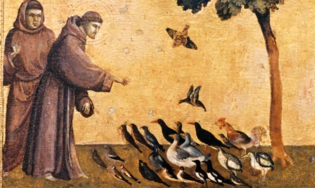 L’UMILTÁ FA BENE? TRE VANTAGGI SU CUI RIFLETTERE