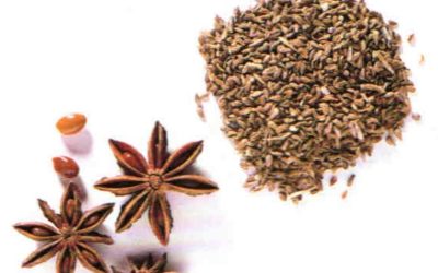 Erbe aromatiche e spezie: anice e anice stellato