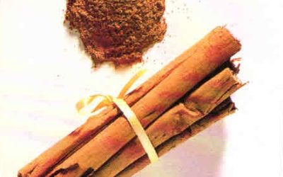 Erbe aromatiche e spezie: cannella