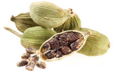 Erbe aromatiche e spezie: cardamomo
