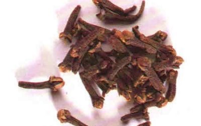 Erbe aromatiche e spezie: chiodi di garofano