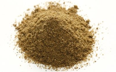 Erbe aromatiche e spezie: garam masala