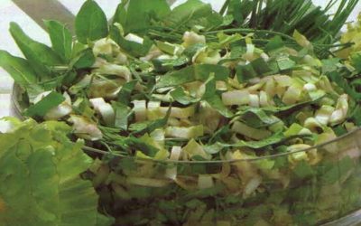 Insalata verde al roquefort