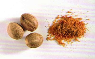 Erbe aromatiche e spezie: noce moscata
