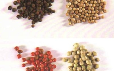 Erbe aromatiche e spezie: pepe