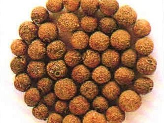 Erbe aromatiche e spezie: pimento