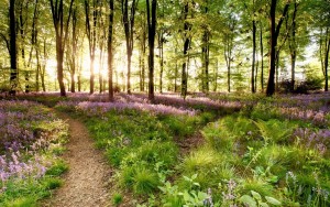 DUE MAESTRI, UN’UNICA VIA