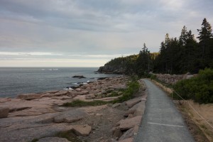 DUE MAESTRI, UN’UNICA VIA (cap. 1)