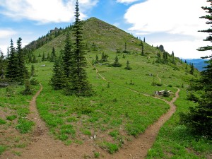 DUE MAESTRI, UN’UNICA VIA (cap. 7)