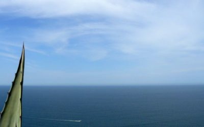 Diventa tu il tuo spirito guida