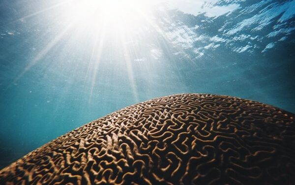 Cosa diventiamo quando abbiamo paura?