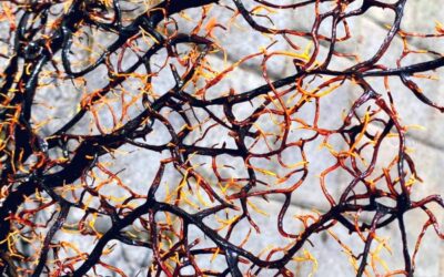 I veri motivi per cui non possiamo rinunciare alla sofferenza