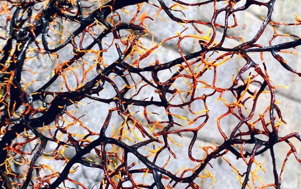 I veri motivi per cui non possiamo rinunciare alla sofferenza